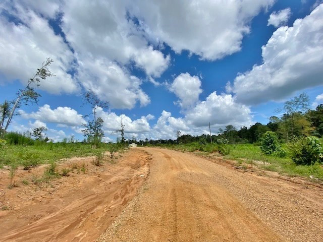 3058 Tanglewood Road Magnolia, MS 39652 - Photo 4 of 47 Photo 4