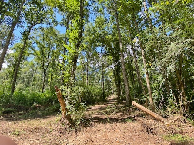 3058 Tanglewood Road Magnolia, MS 39652 - Photo 44 of 47 Photo 44