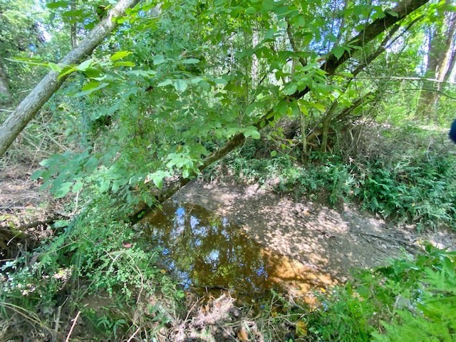 3058 Tanglewood Road Magnolia, MS 39652 - Photo 45 of 47 Photo 45
