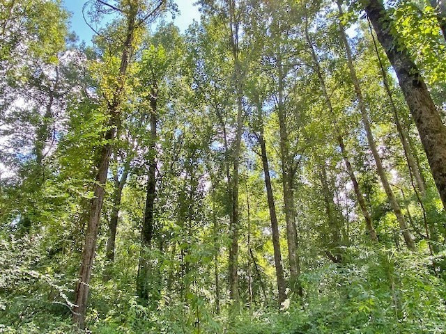 3058 Tanglewood Road Magnolia, MS 39652 - Photo 47 of 47 Photo 47