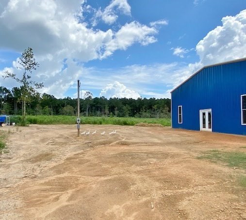 3058 Tanglewood Road Magnolia, MS 39652 - Photo 10 of 47 Photo 10