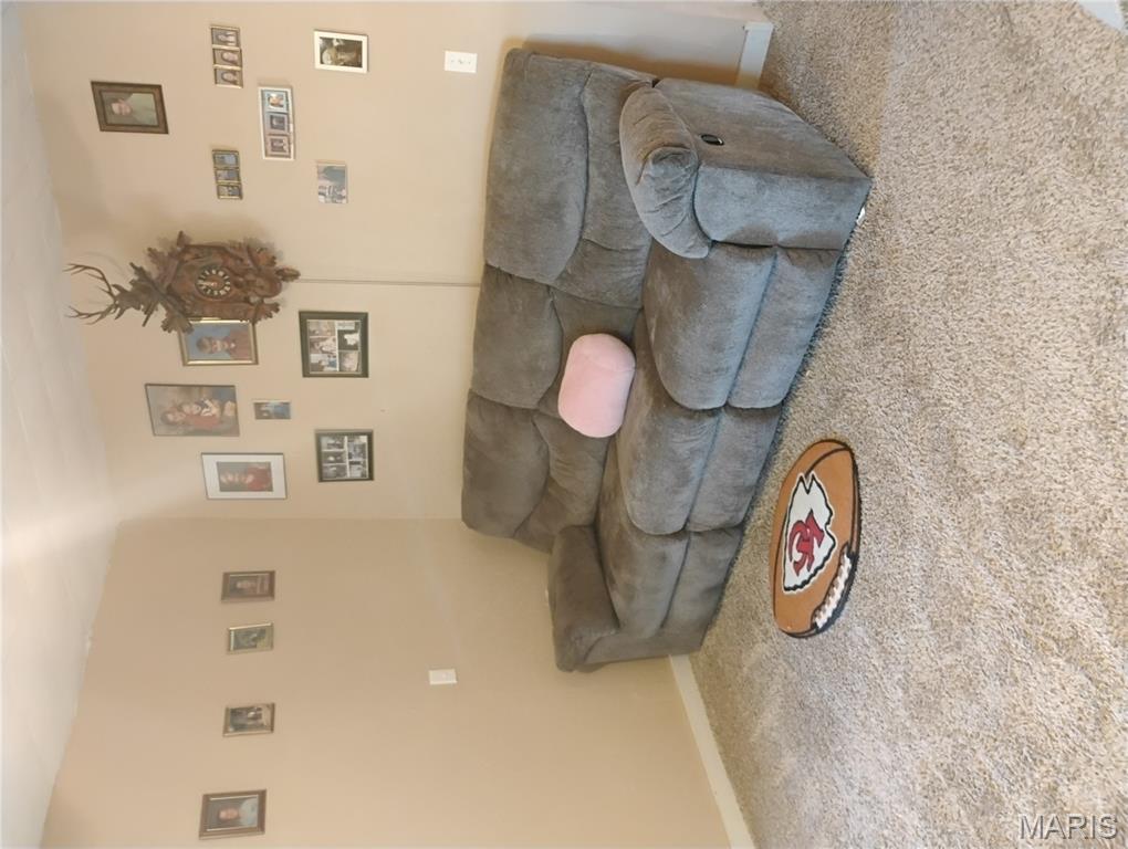 12315 Stave Mill Road Cabool, MO 65689 - Photo 13 of 46