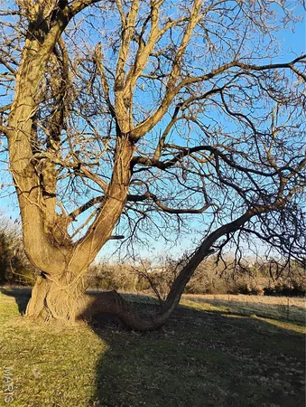 $275,000 | 12315 Stave Mill Road, Cabool, MO 65689