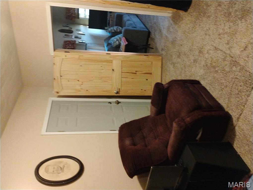 12315 Stave Mill Road Cabool, MO 65689 - Photo 25 of 46