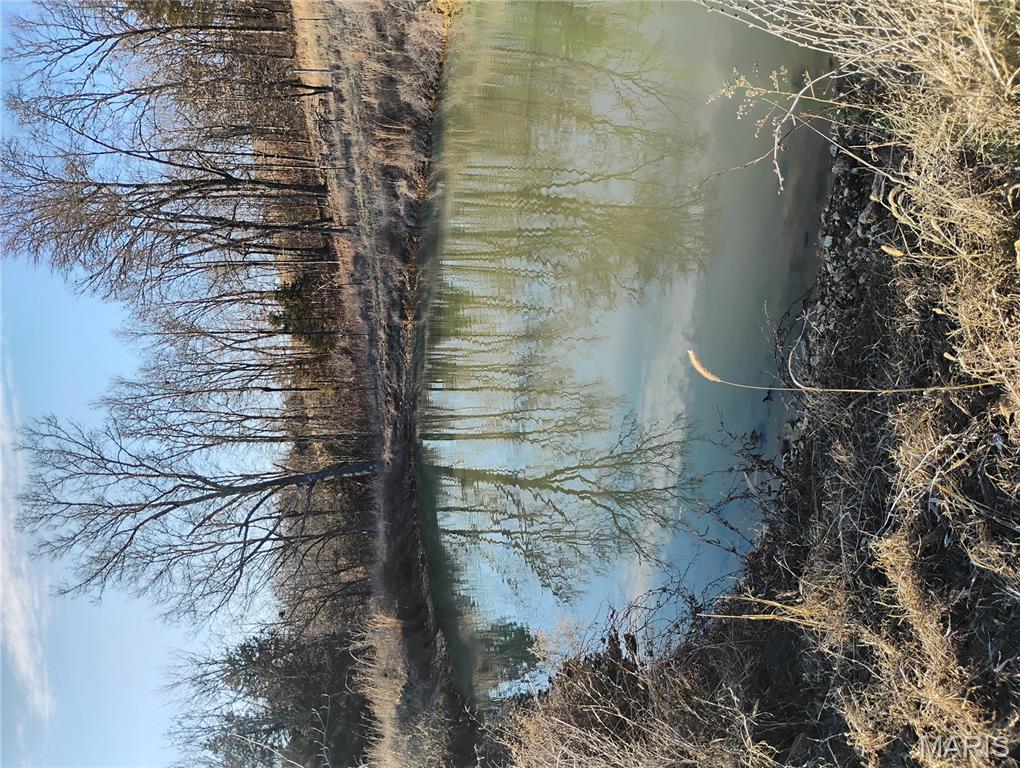 12315 Stave Mill Road Cabool, MO 65689 - Photo 3 of 46