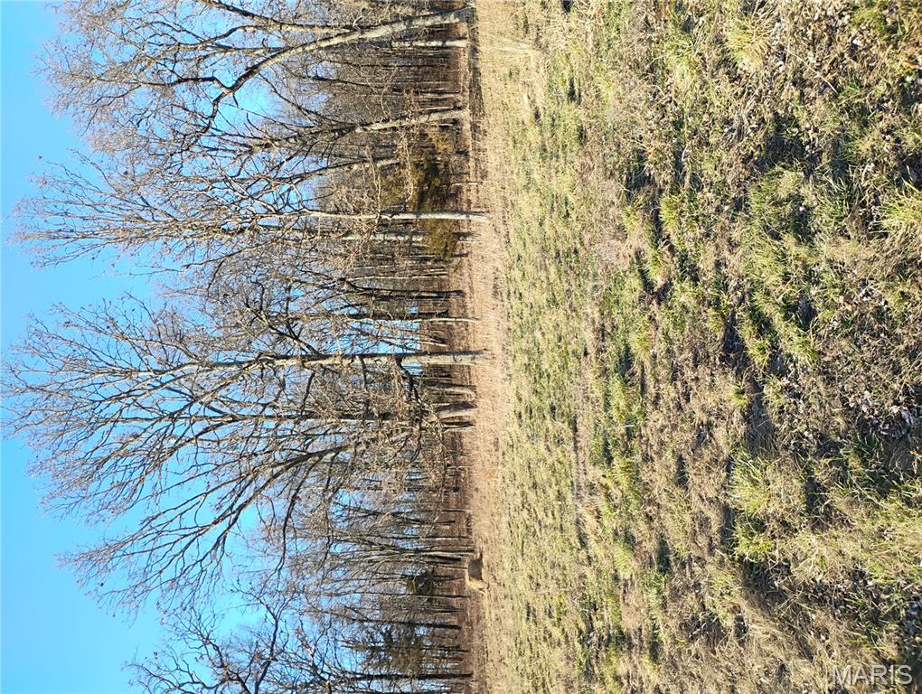 12315 Stave Mill Road Cabool, MO 65689 - Photo 32 of 46