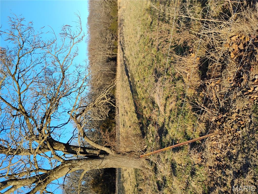 12315 Stave Mill Road Cabool, MO 65689 - Photo 33 of 46