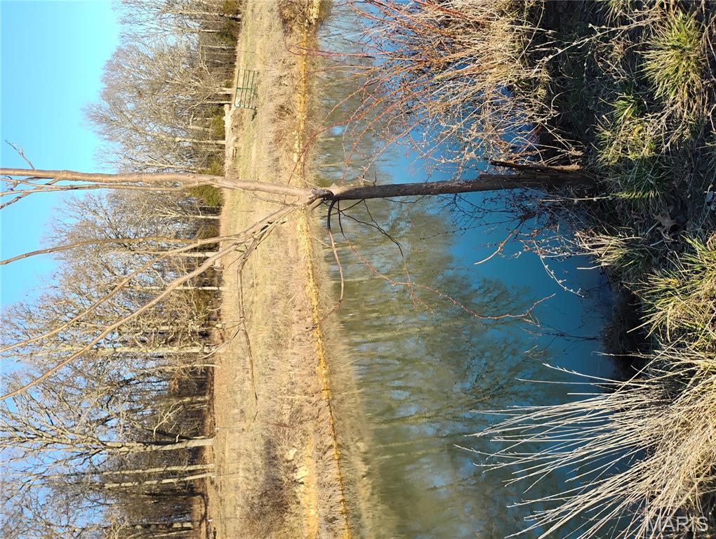 12315 Stave Mill Road Cabool, MO 65689 - Photo 5 of 46