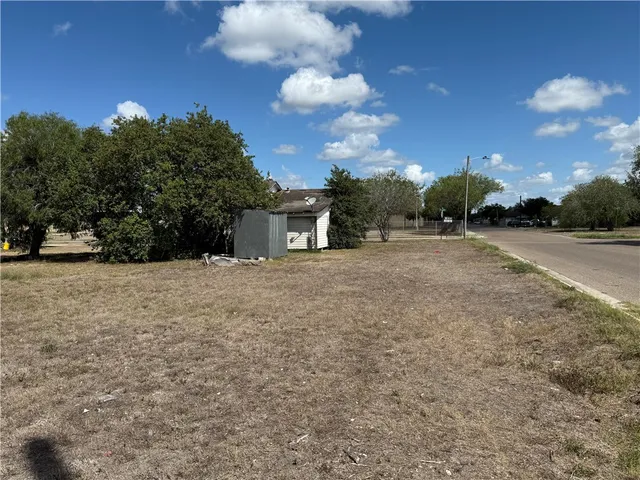 a view of dirt yard with a large tree