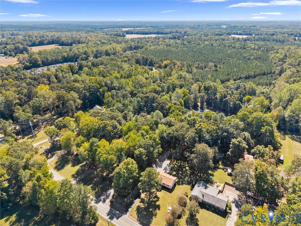 408 Howerton Road Tappahannock, VA 22560 - Photo 37 of 49 Expansive wooded surroundings with a clear sky bac