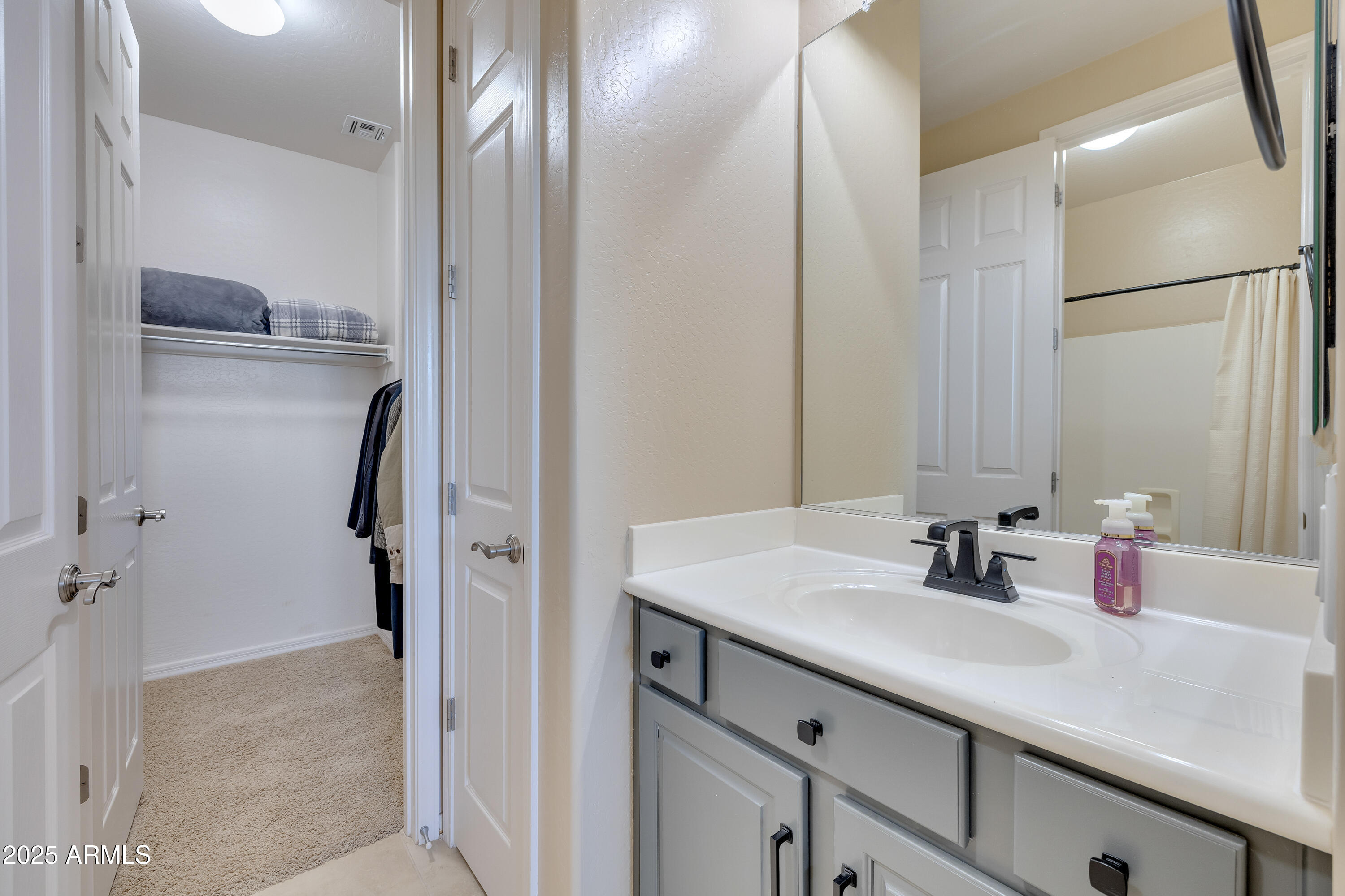 16896 North Palo Rojo Road Maricopa, AZ 85138 - Photo 25 of 48 a bathroom with a sink and a mirror
