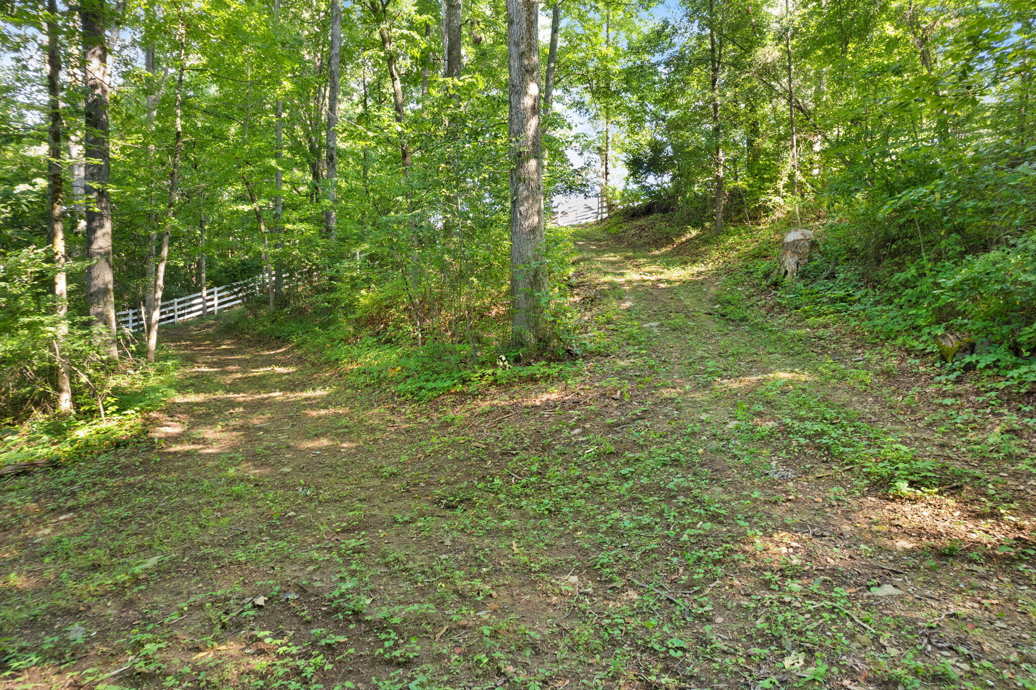258 B Willie Green Road London, KY 40741 - Photo 129 of 134 131-web-or-mls-DJI_0431