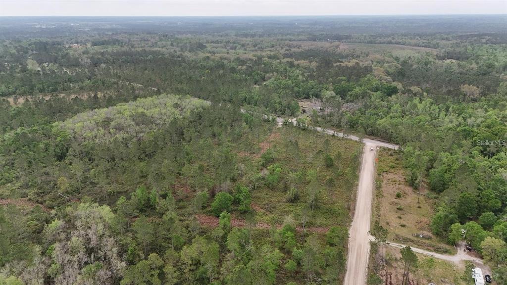 25 Southeast A Se County Road White Springs, FL 32096 - Photo 8 of 18 an aerial view of forest
