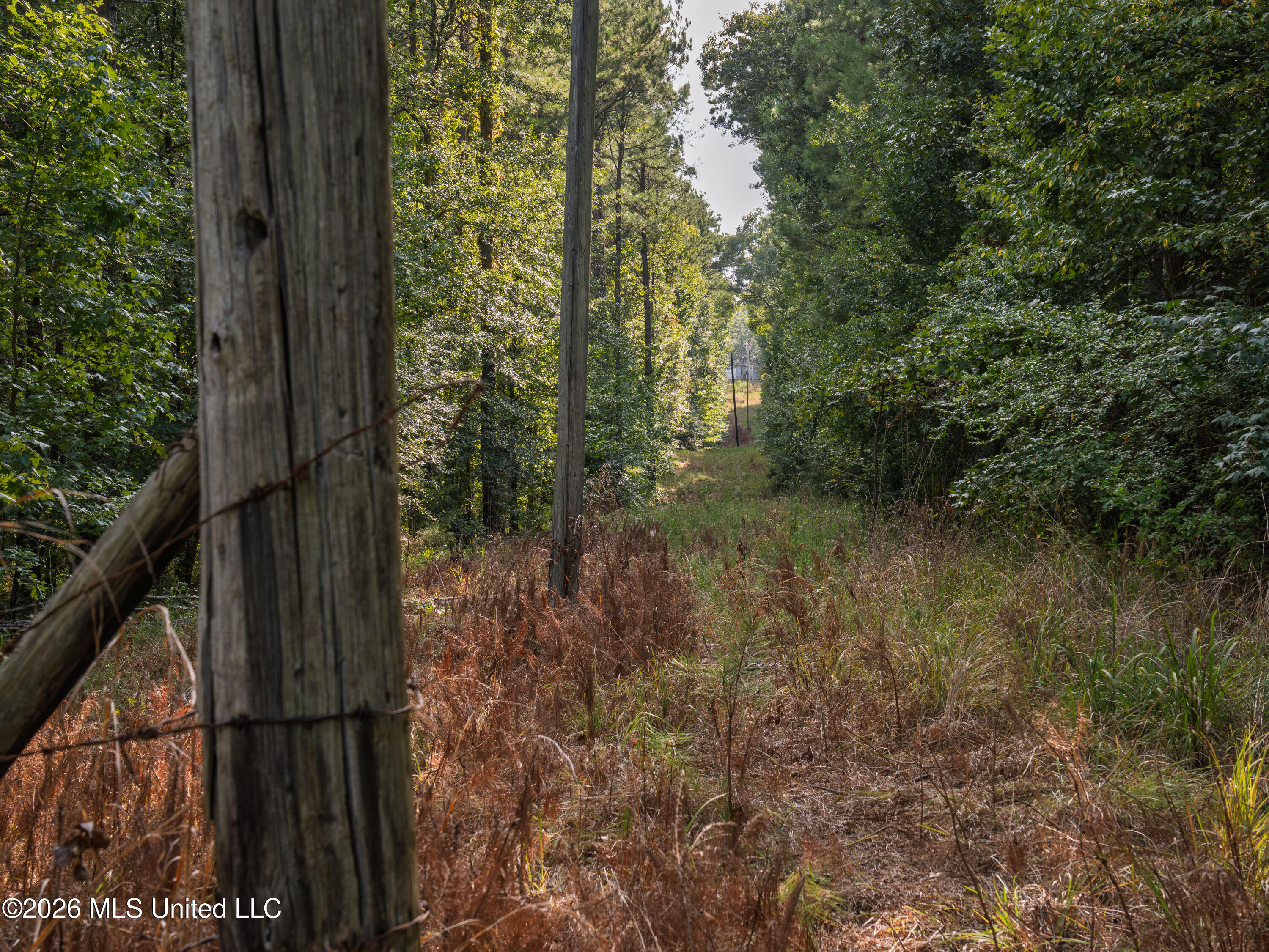 884 Truitt Road Pickens, MS 39146 - Photo 14 of 36 A7404525