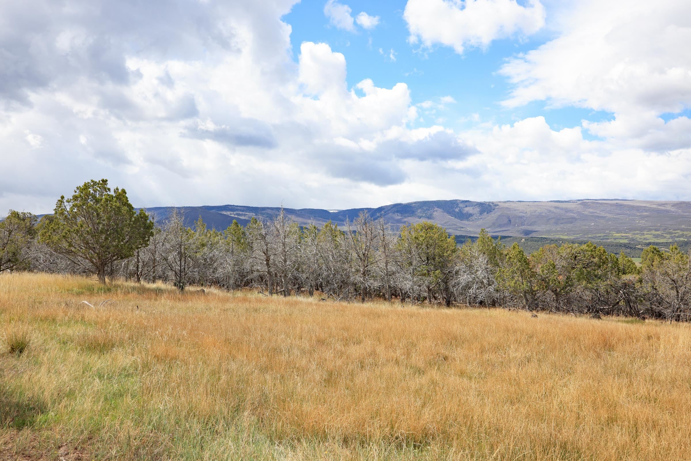 12705 55 Road Collbran, CO 81624 - Photo 13 of 31 a view of mountain covered with snow