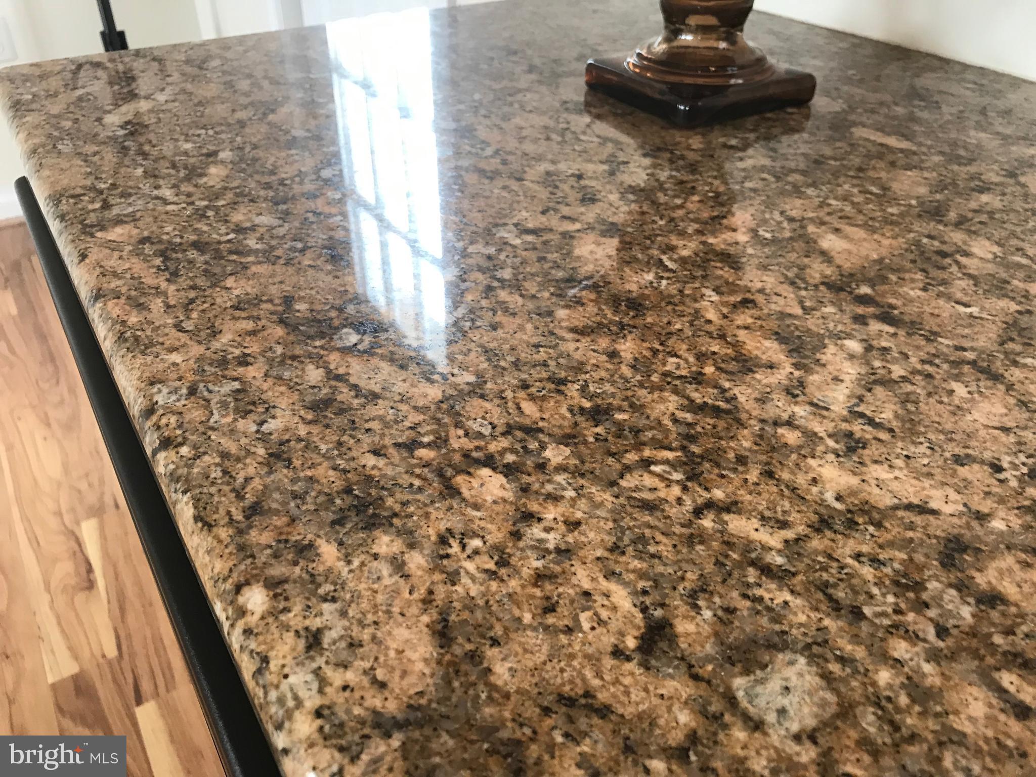 28077 9 Foot Road Dagsboro, DE 19939 - Photo 24 of 58 Georgeous Granite