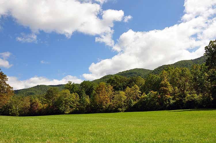 1480 Stone House Road Lewisburg, WV 24901 - Photo 10 of 23 Gallery Image 10