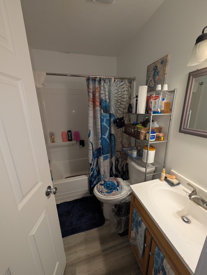 6232-6234 Appomattox Road Davenport, IA 52806 - Photo 21 of 21 a bathroom with a sink a toilet and shower