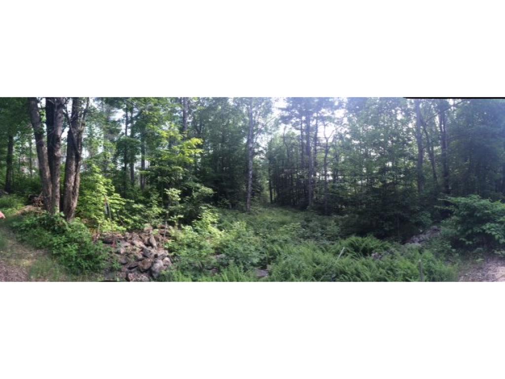 Lot 4 Province Road Strafford, NH 03884 - Photo 1 of 4