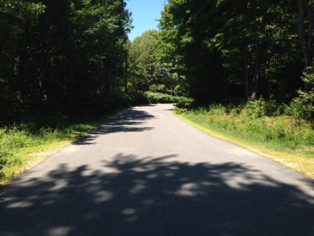 Lot 4 Province Road Strafford, NH 03884 - Photo 3 of 4