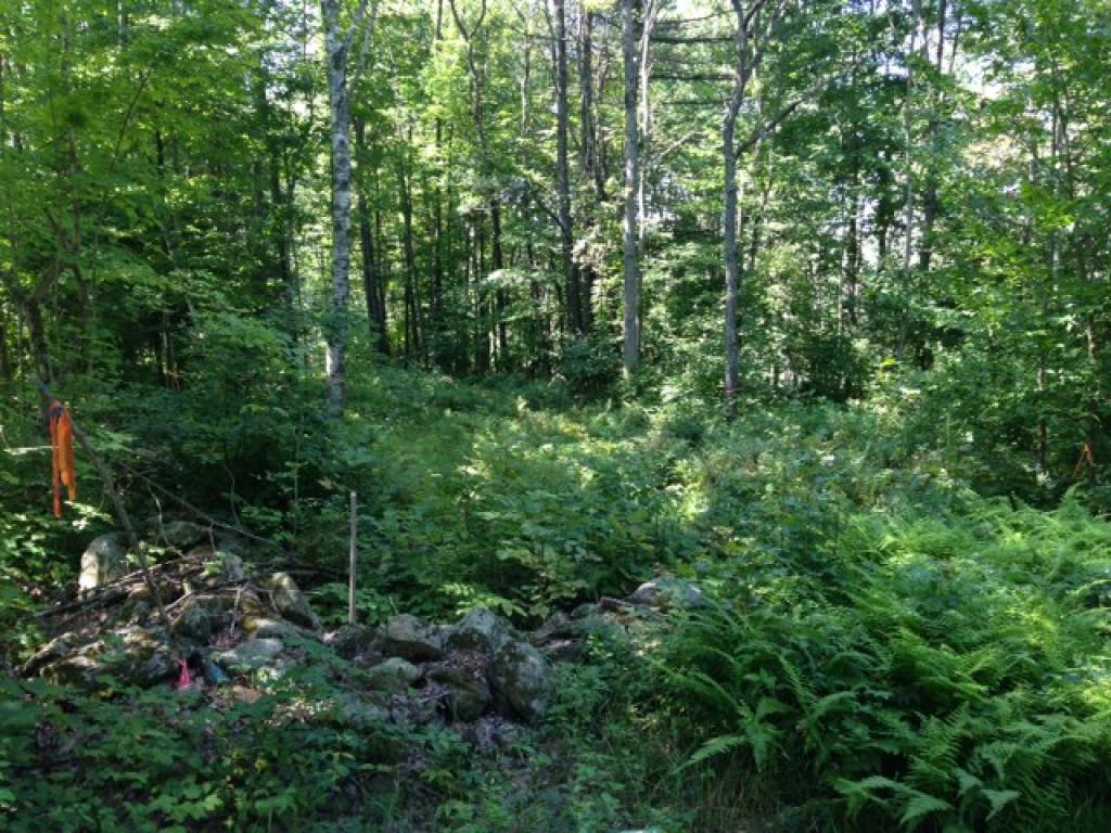 Lot 4 Province Road Strafford, NH 03884 - Photo 4 of 4