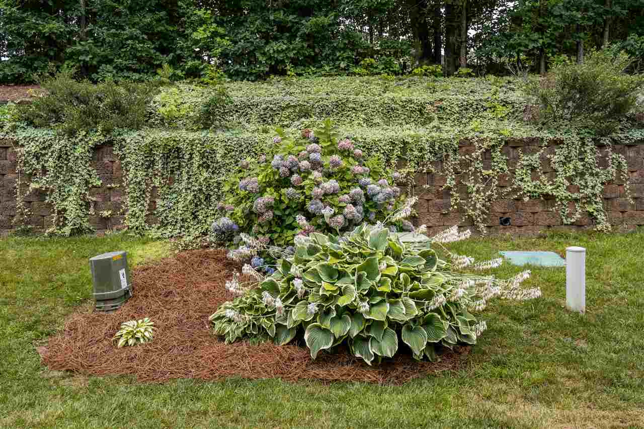 8473 Central Drive Raleigh, NC 27613 - Photo 28 of 28 Back Yard