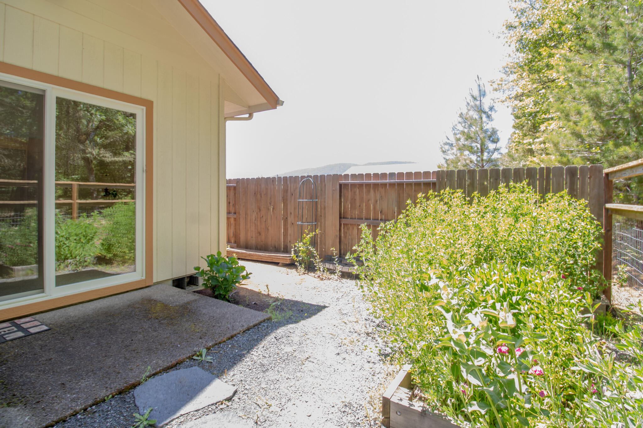 337 Cedar Ridge Drive Cave Junction, OR 97523 - Photo 37 of 56 a view of a backyard with plants