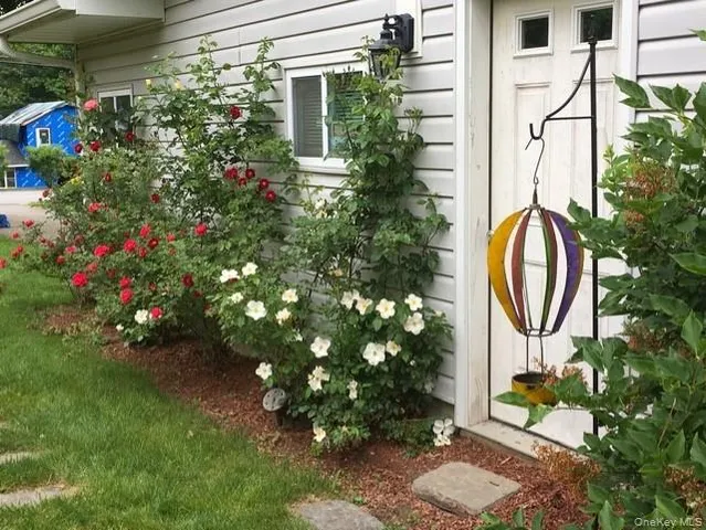 a plant that is in front of a house