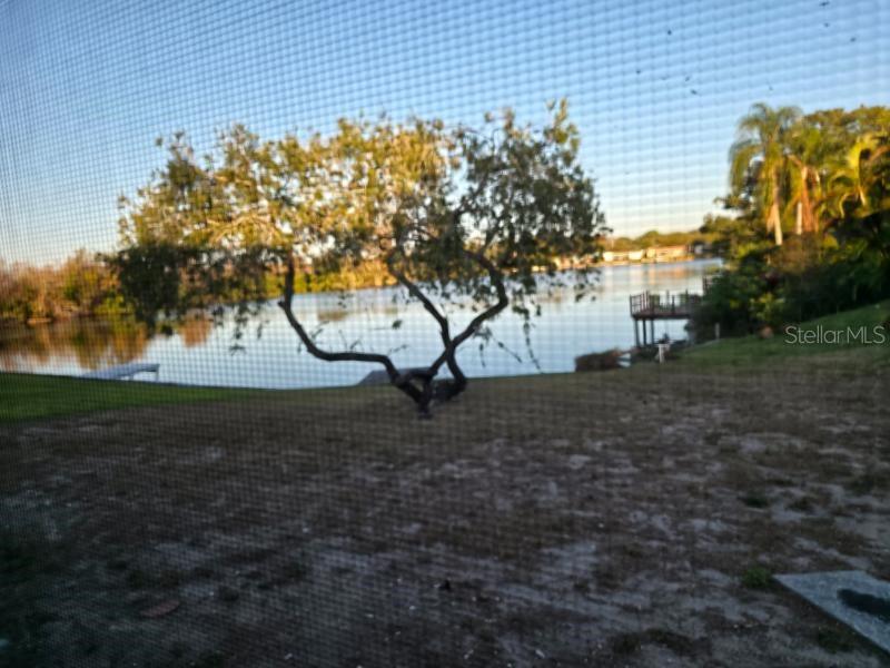 2111 North Keene Road Clearwater, FL 33763 - Photo 28 of 35 a view of back yard