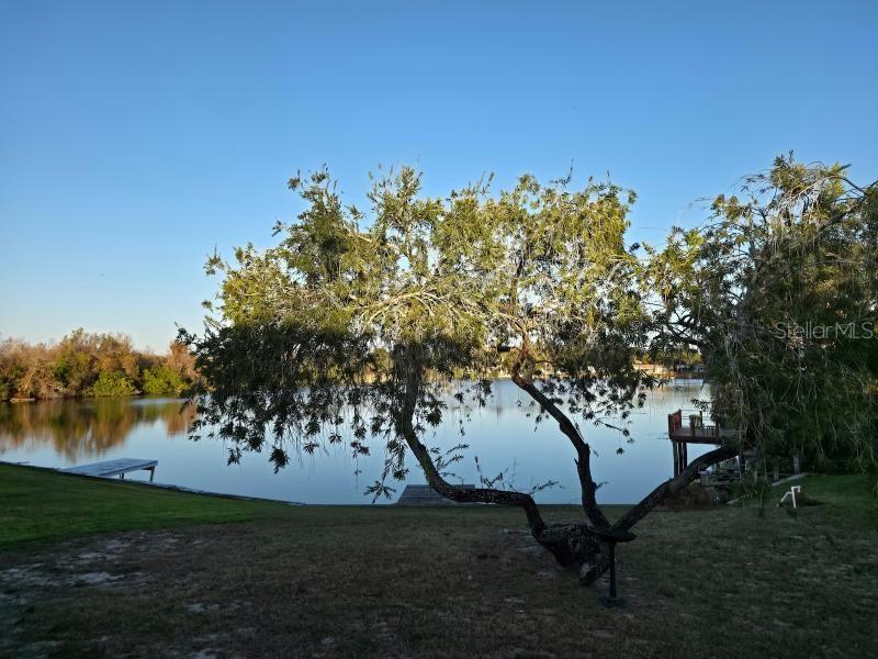 2111 North Keene Road Clearwater, FL 33763 - Photo 29 of 35 a view of a yard