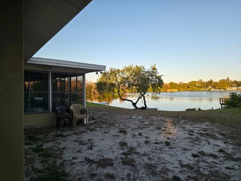 2111 North Keene Road Clearwater, FL 33763 - Photo 31 of 35 a view of a backyard with large trees