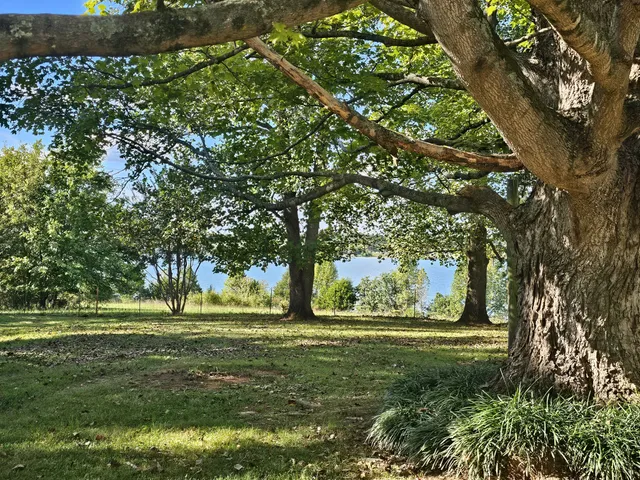 a view of a lake with a building in the background