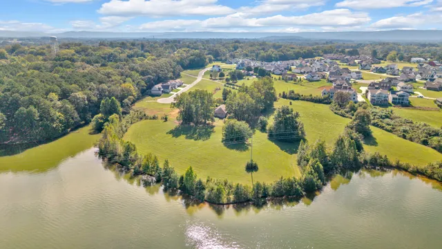 a view of a lake with a city