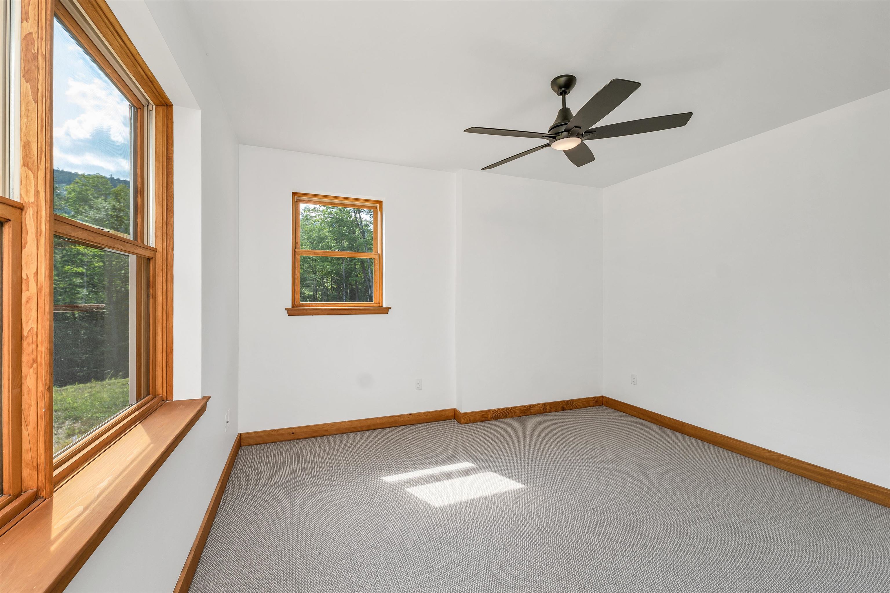 31 Cave Mountain Road Bartlett, NH 03812 - Photo 34 of 57