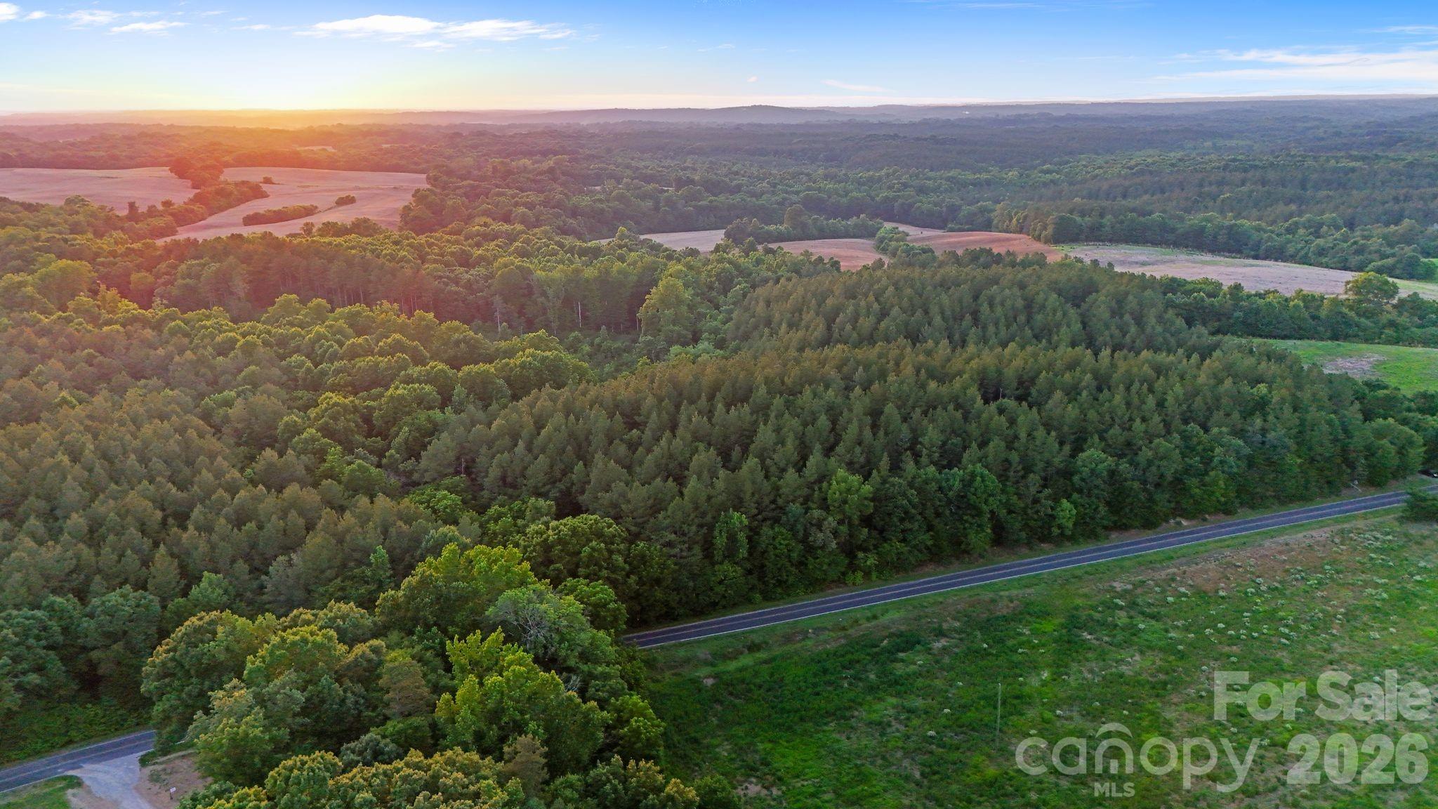 0 Lucy Short Cut Road, Unit 3 Marshville, NC 28103 - Photo 13 of 47