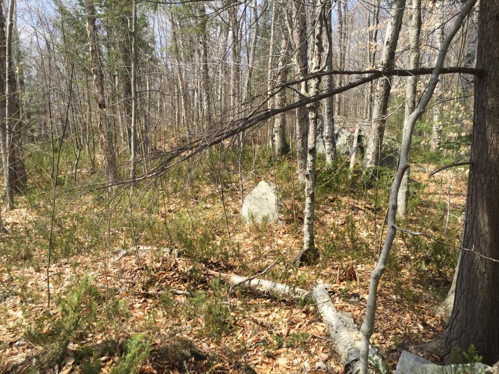 78 Oak Ridge Road Sunapee, NH 03751 - Photo 11 of 12