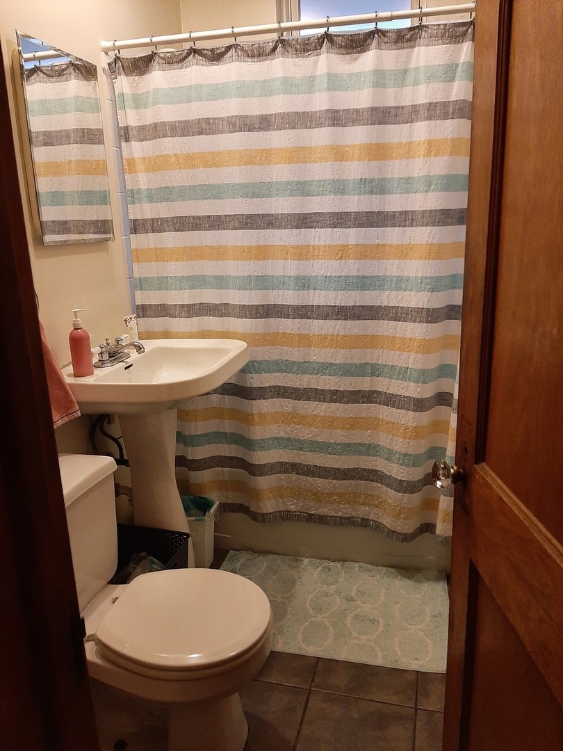 3142 South Morgan Street Chicago, IL 60608 - Photo 12 of 22 a bathroom with a sink and a toilet