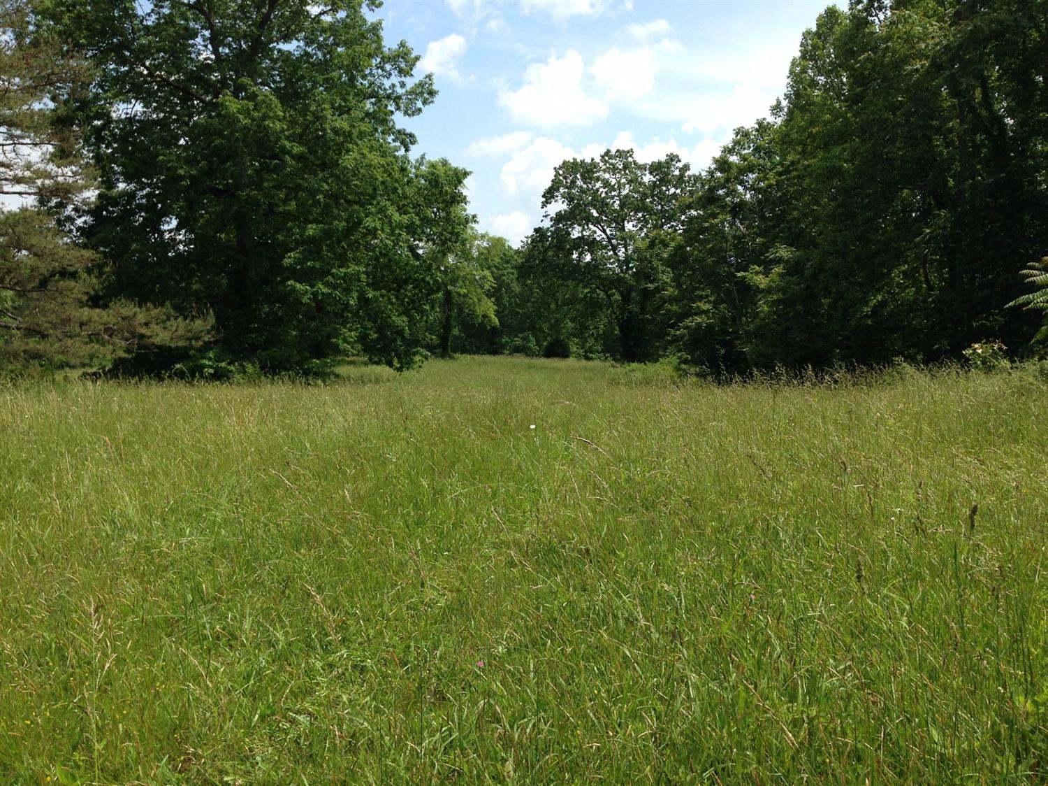 9999 South Hollin Road Tyner, KY 40486 - Photo 8 of 10 Photo 8
