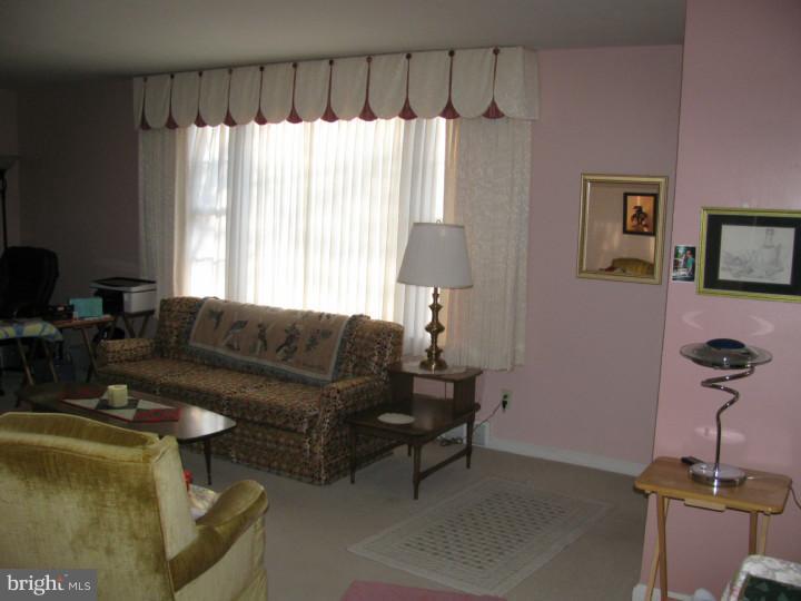 5681 Easton Road Plumsteadville, PA 18902 - Photo 6 of 13 Living Room