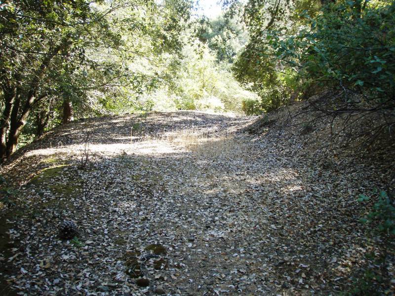 Lundgren Mountain Road Lakehead, CA 96051 - Photo 1 of 1 a view of a yard with a tree