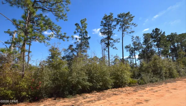 $14,999 | Xxx Fairborn Avenue, Alford, FL 32420