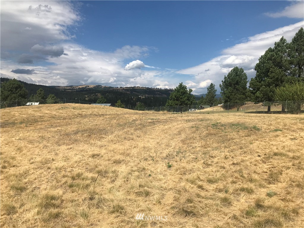 -lot54 Heron Loop Road Republic, WA 99166 - Photo 2 of 6 Gallery Image 2