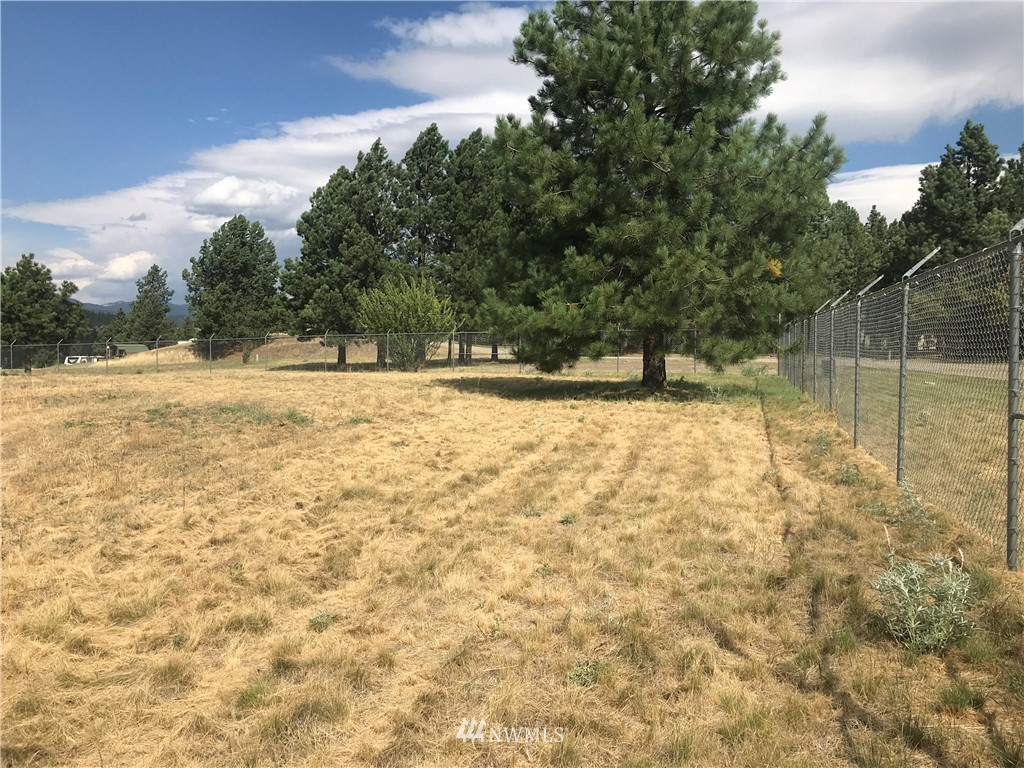 -lot54 Heron Loop Road Republic, WA 99166 - Photo 3 of 6 Gallery Image 3