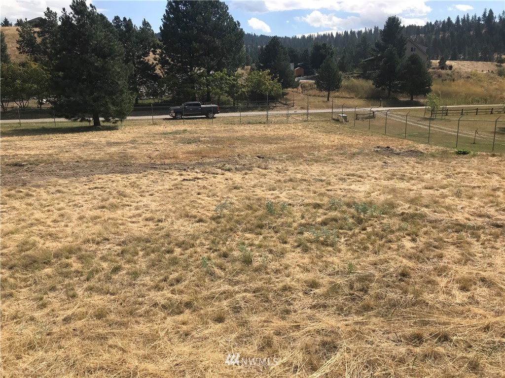 -lot54 Heron Loop Road Republic, WA 99166 - Photo 5 of 6 Gallery Image 5