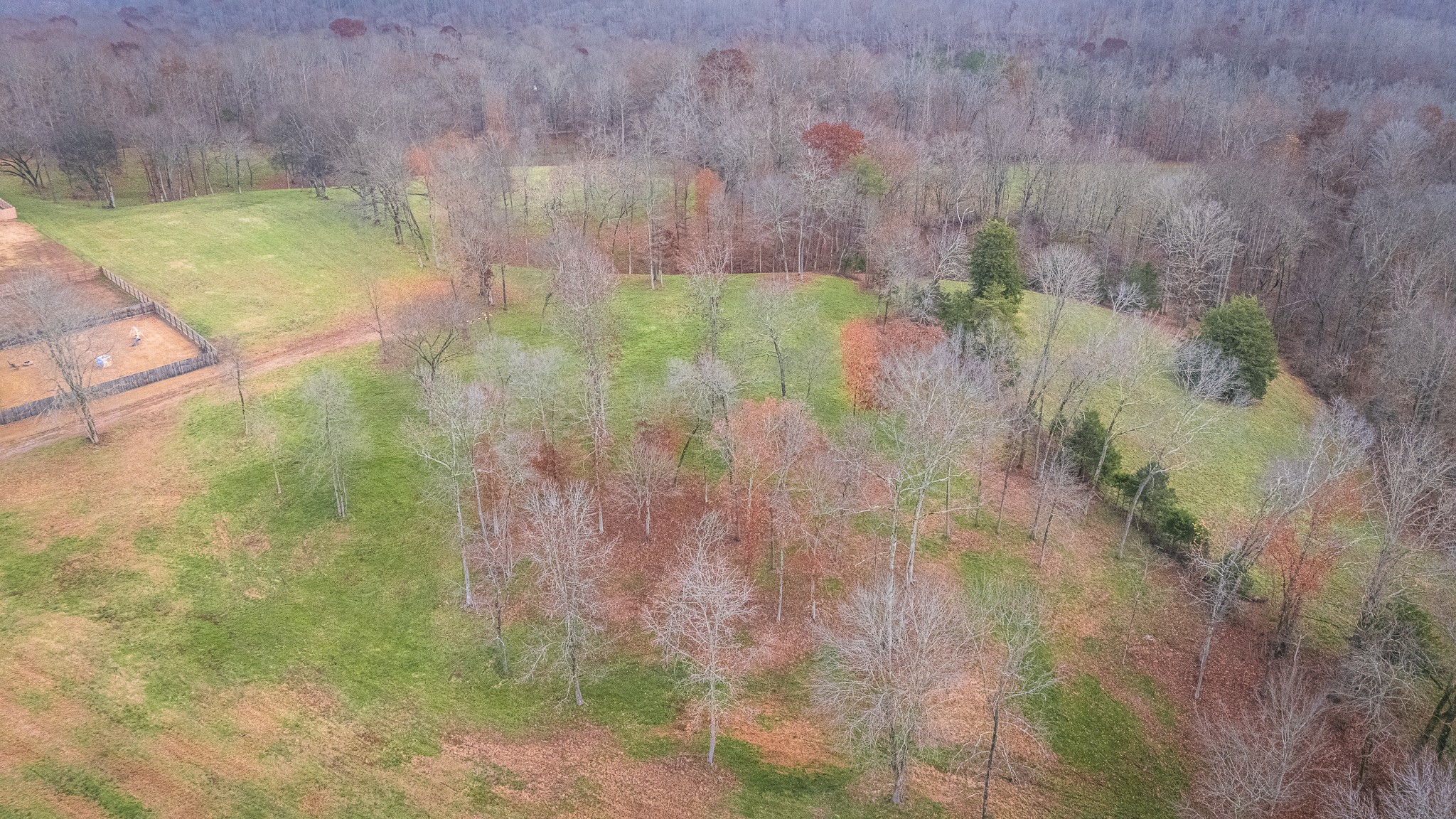 2000 County Road 94 Florence, AL 35634 - Photo 16 of 27