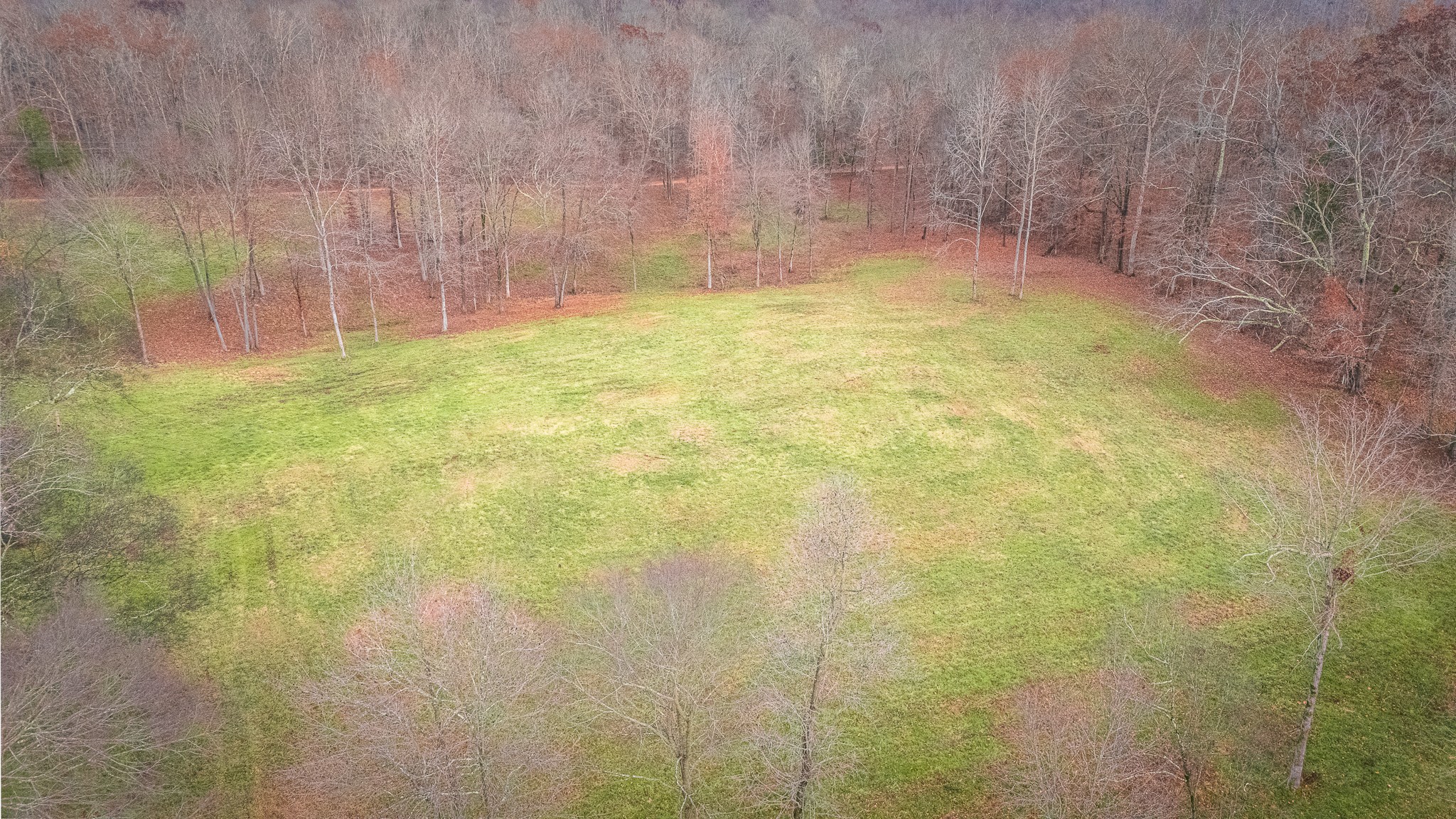 2000 County Road 94 Florence, AL 35634 - Photo 22 of 27