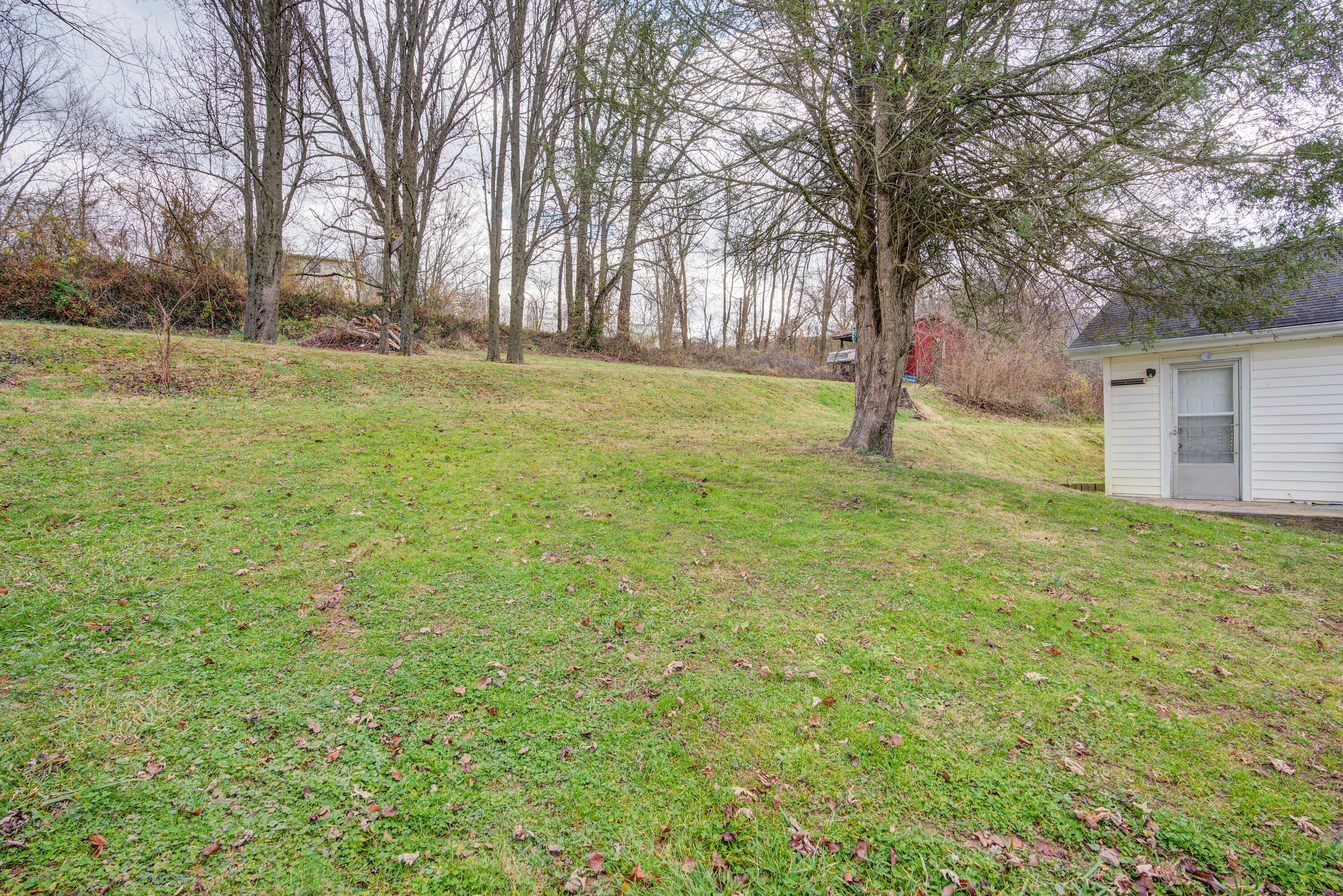 3105 Siam Road Elizabethton, TN 37643 - Photo 5 of 25 Siam--21