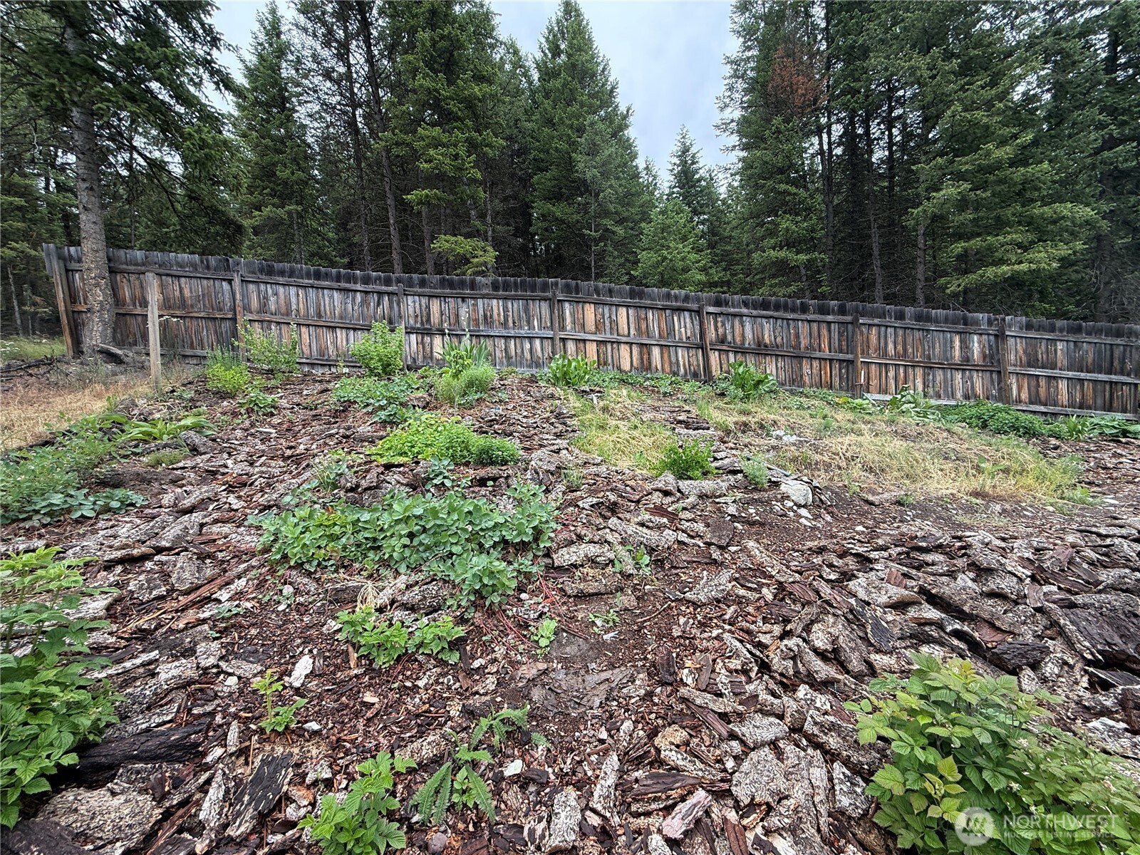 154 Cougar Creek Road Wauconda, WA 98859 - Photo 34 of 37