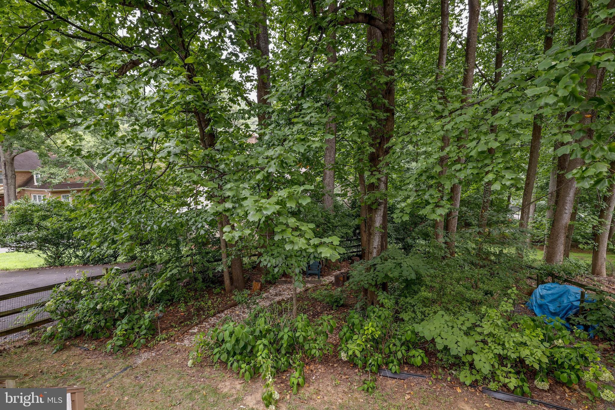 9429 Reach Road Potomac, MD 20854 - Photo 53 of 56 Gallery Image 53