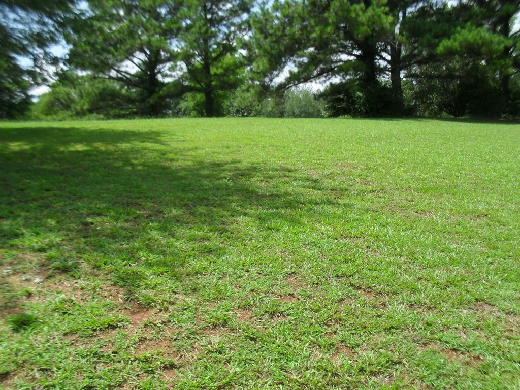 232 Lakehaven Circle Decatur, TN 37322 - Photo 16 of 32 Gallery Image 16